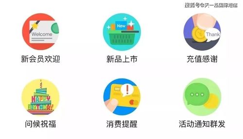 融合短信營銷技巧與信息系統運行維護服務，打造穩固顧客關系