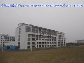 合肥市經貿旅游學校 旅游服務與管理專業的經濟貿易咨詢方向解析